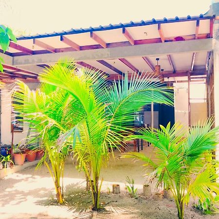 Sancia Lodge Fulidhoo Buitenkant foto
