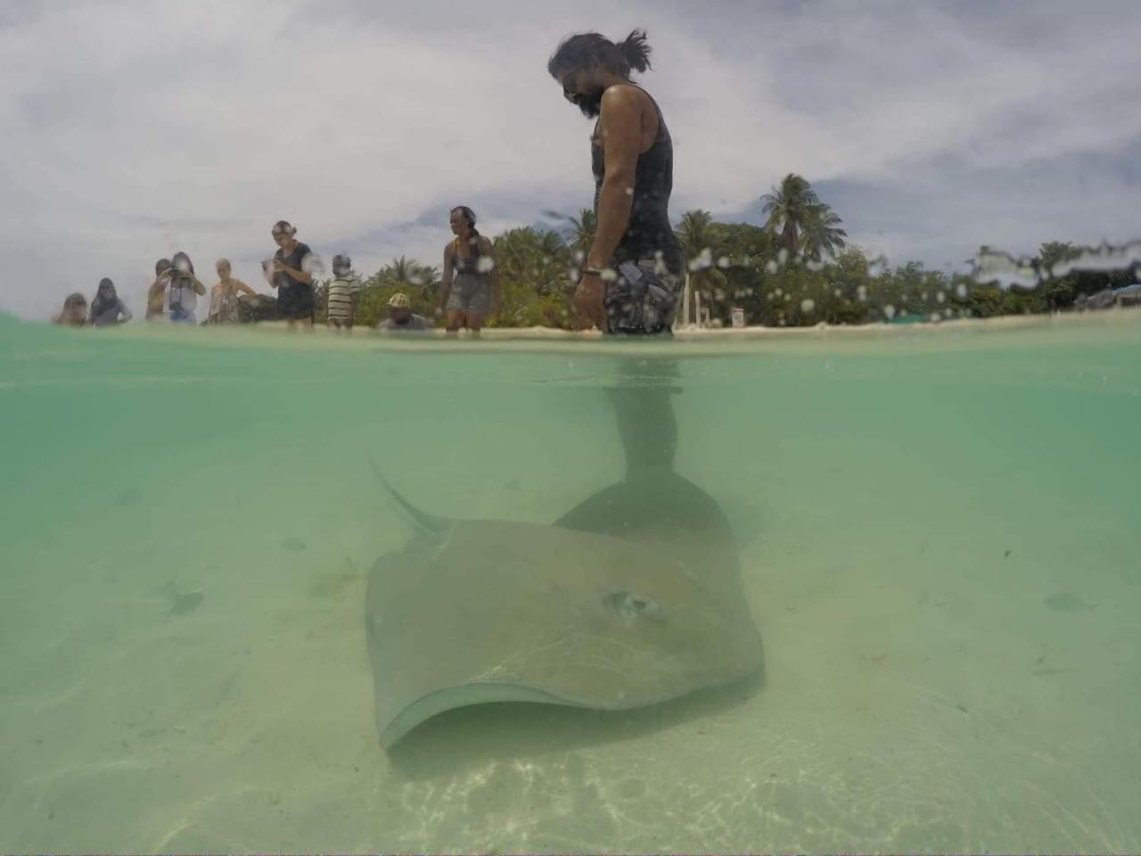 Sancia Lodge Fulidhoo Buitenkant foto