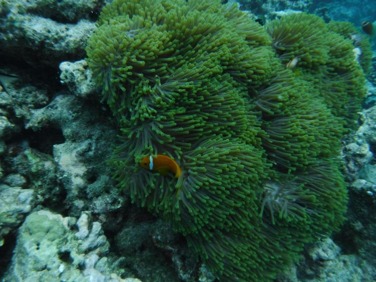 Sancia Lodge Fulidhoo Buitenkant foto